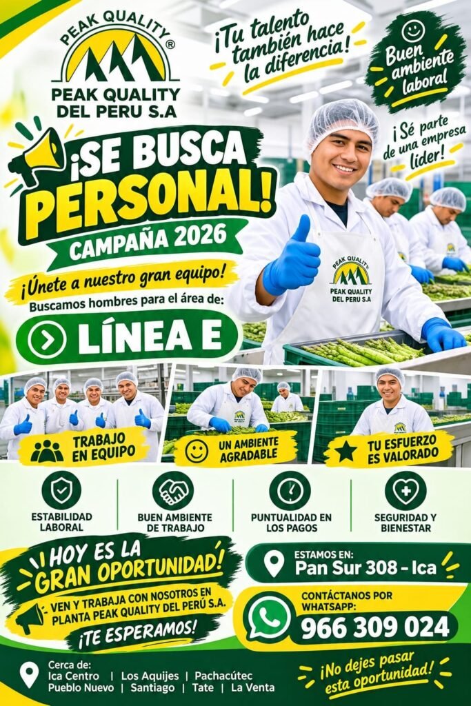 TRABAJO EN PEAK QUALITY