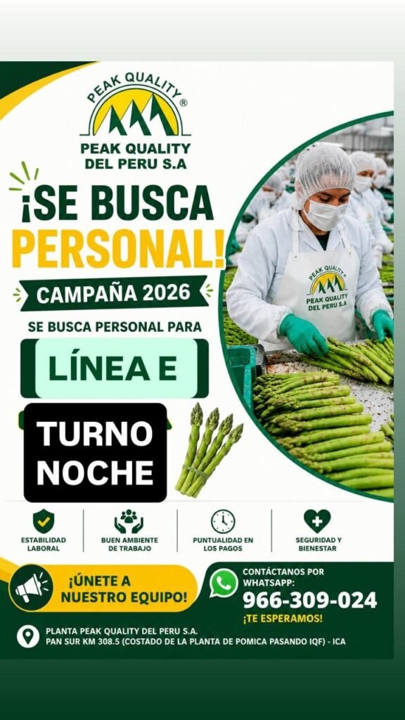Packing de esparrago en Ica