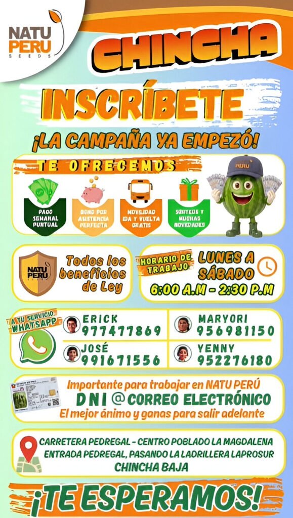 Personal para Natu Peru - Imagen 1
