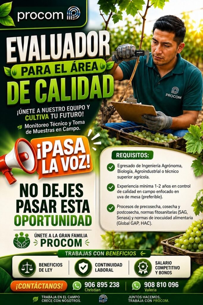 Evaluador para el Área de Calidad