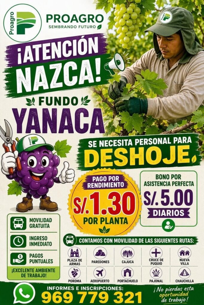 Trabajo en Nazca Fundo Yanaca - Proagro - Imagen 1