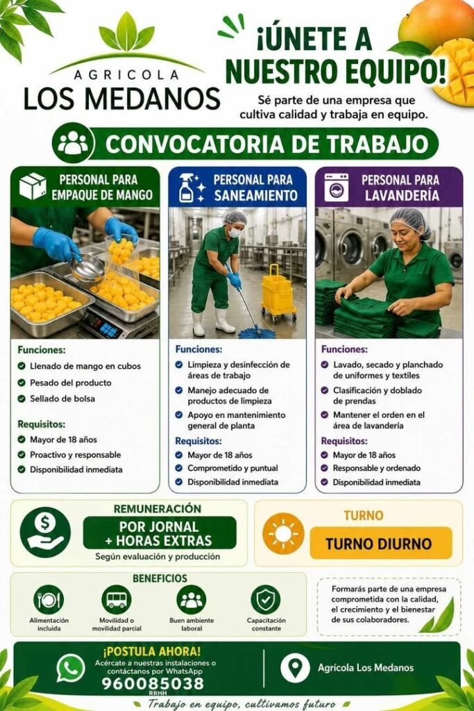 Trabajo en agricola Los Medanos Ica