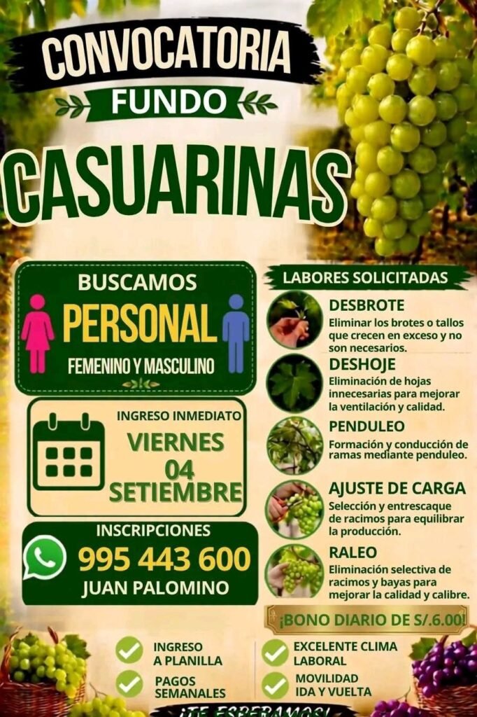 Personal para desbrote en Ica