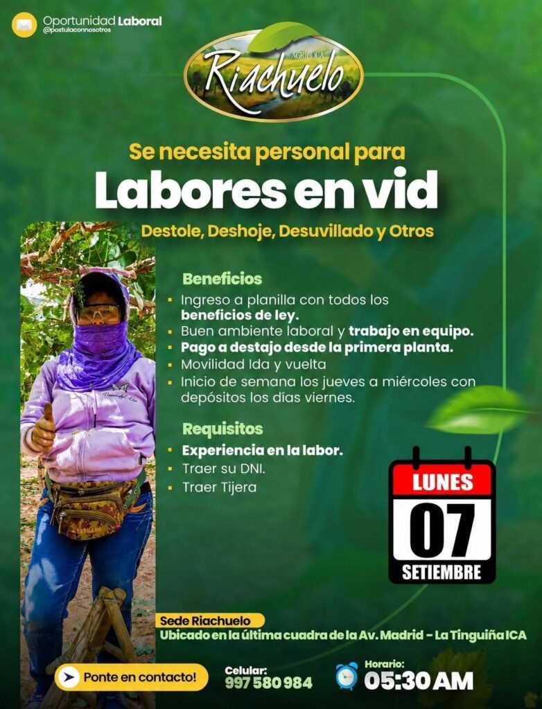 Personal para labores de Vid