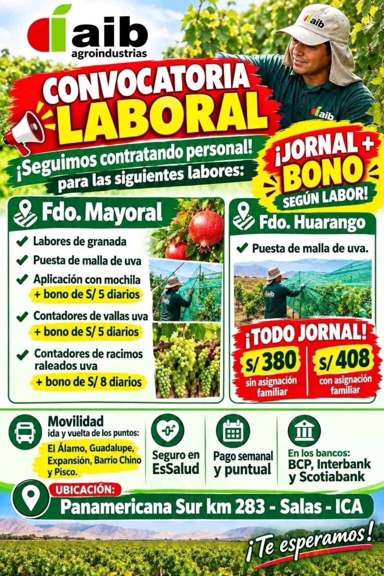 Labores de granada en AIB