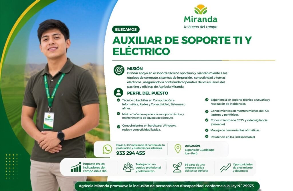 Auxiliar de Soporte TI y Eléctrico