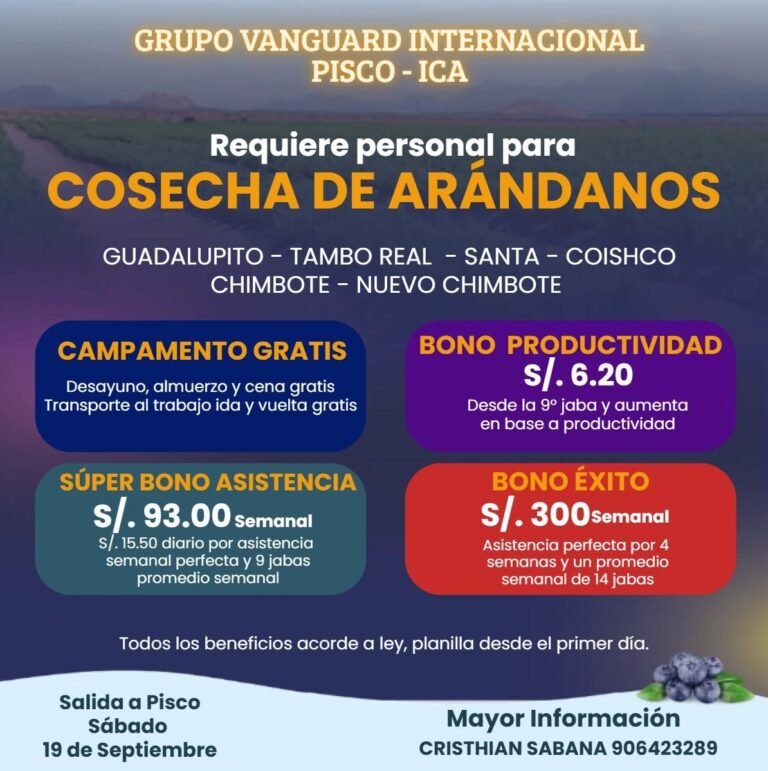 Cosecha de arándanos Grupo Vanguard