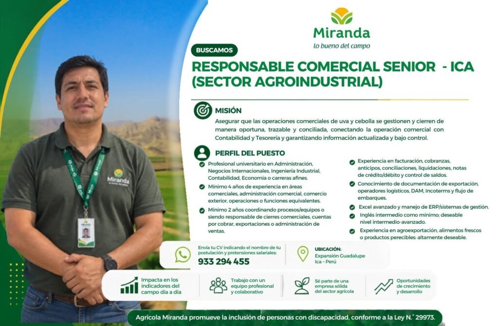 Responsable Comercial Senior