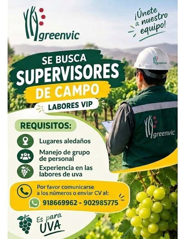 Supervisores de campo el labores de uva