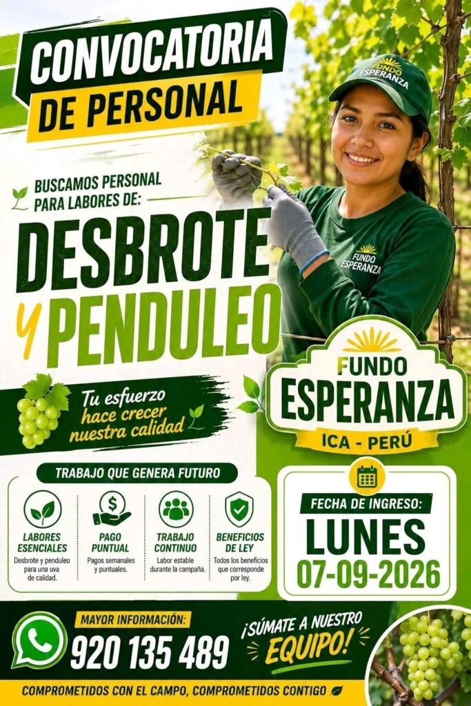 Labor de desbrote en fundo Esperanza