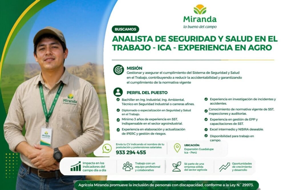 Analista de Seguridad y Salud en el Trabajo - Imagen 1