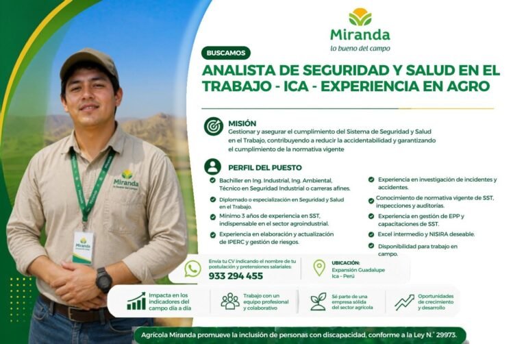 Analista de Seguridad y Salud en el Trabajo