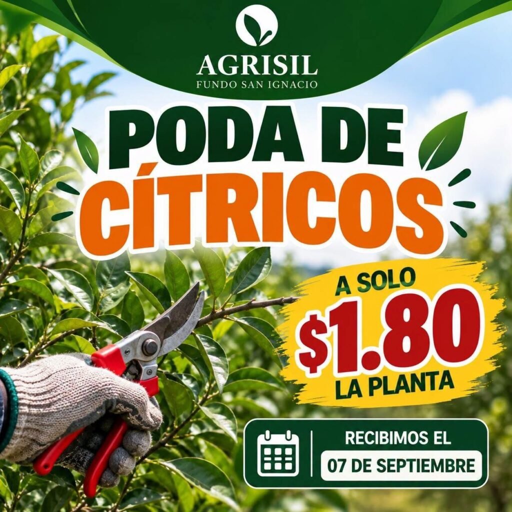 Oportunidades agricolas en AMFRESH - AGRISIL - Imagen 2