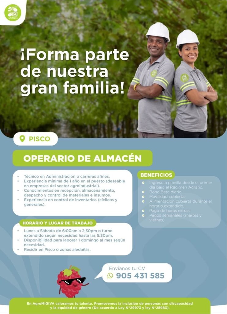 Nuevas oportunidades laborales - Imagen 5