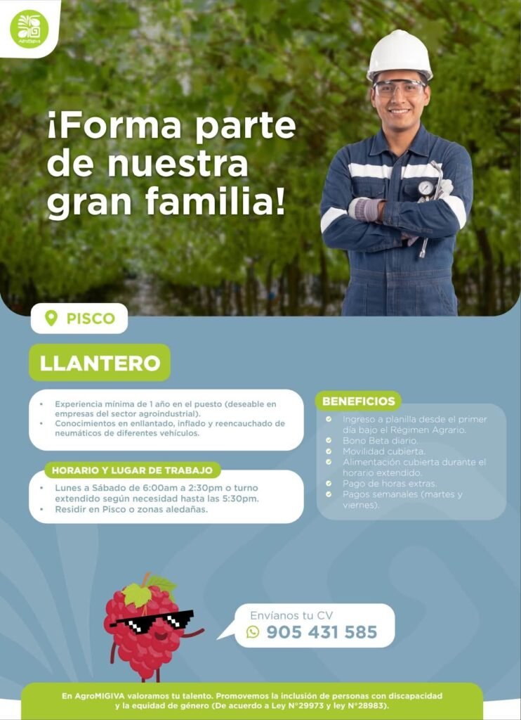Nuevas oportunidades laborales - Imagen 2