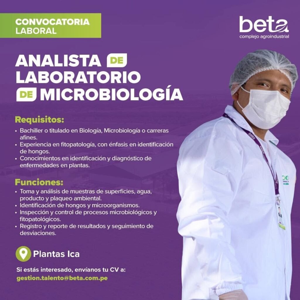Nuevas oportunidades en Agroindustrial Beta - Imagen 4