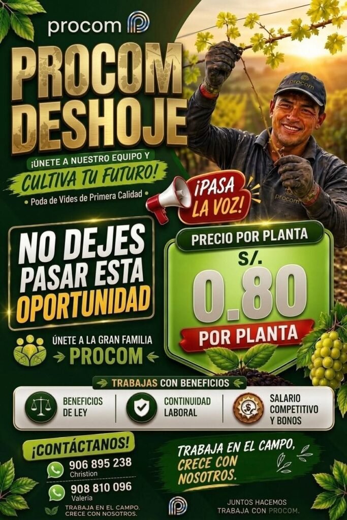 Campaña de uva en Agricola Procom