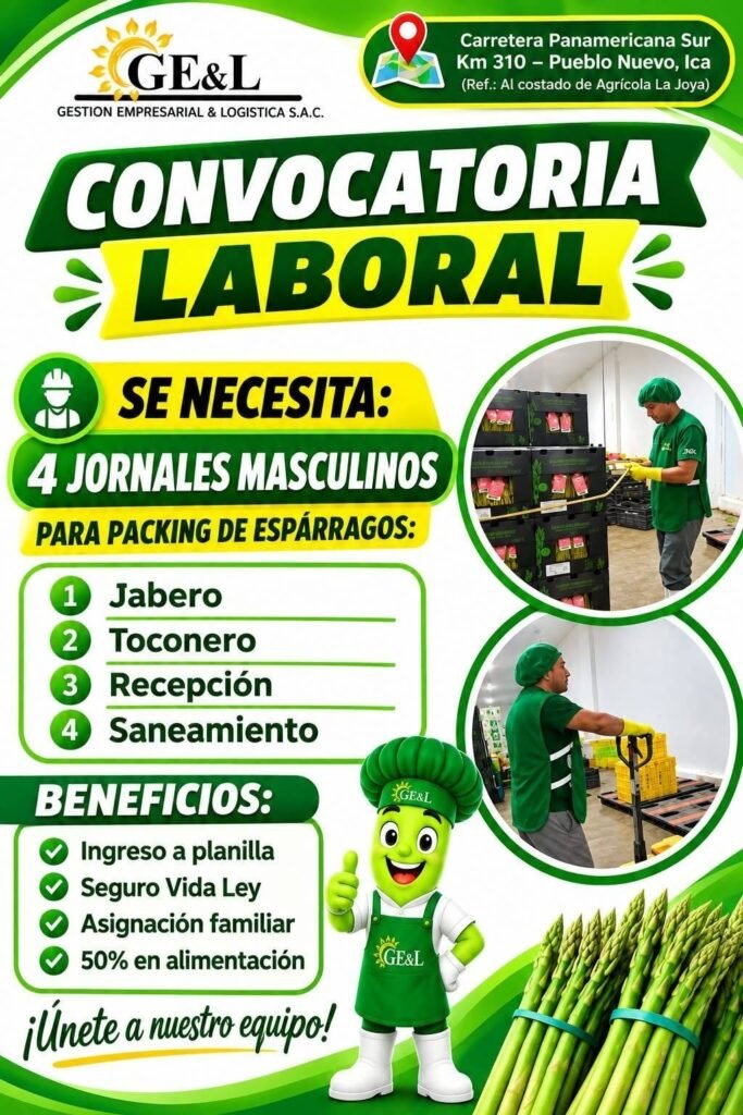 Se requiere personal para GESTIÓN EMPRESARIAL & LOGÍSTICA - Imagen 3