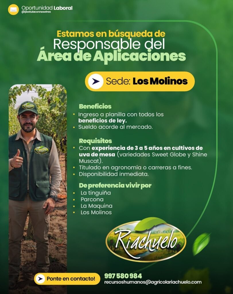 Responsable del Área de Aplicaciones