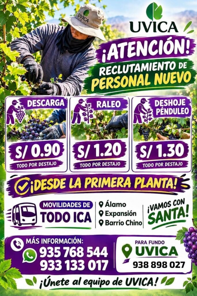 Oportunidades en Uvica