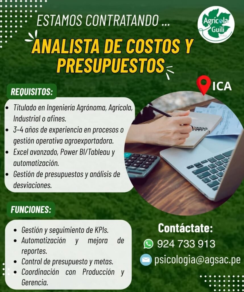 Analista de Costos y Presupuestos