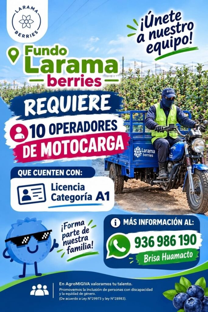15 operaradores de trimoto en Pisco