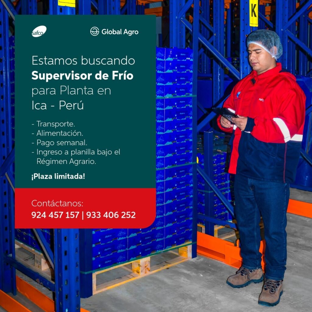 Supervisor de frio en planta de packing Safco - Imagen 4