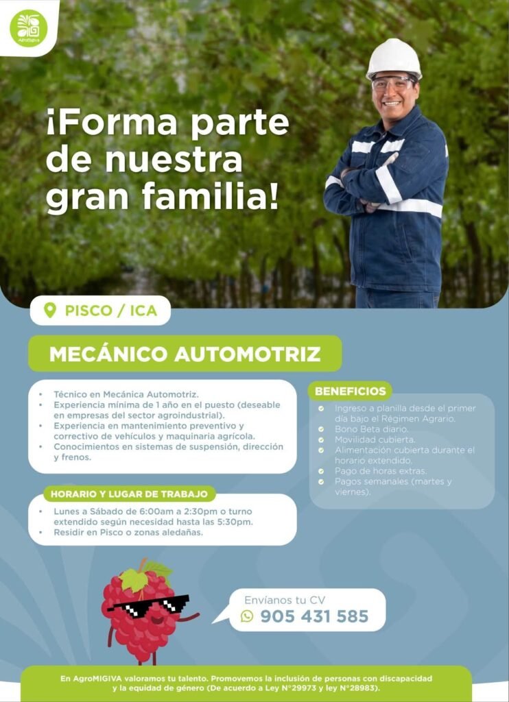 Nuevas oportunidades laborales - Imagen 3