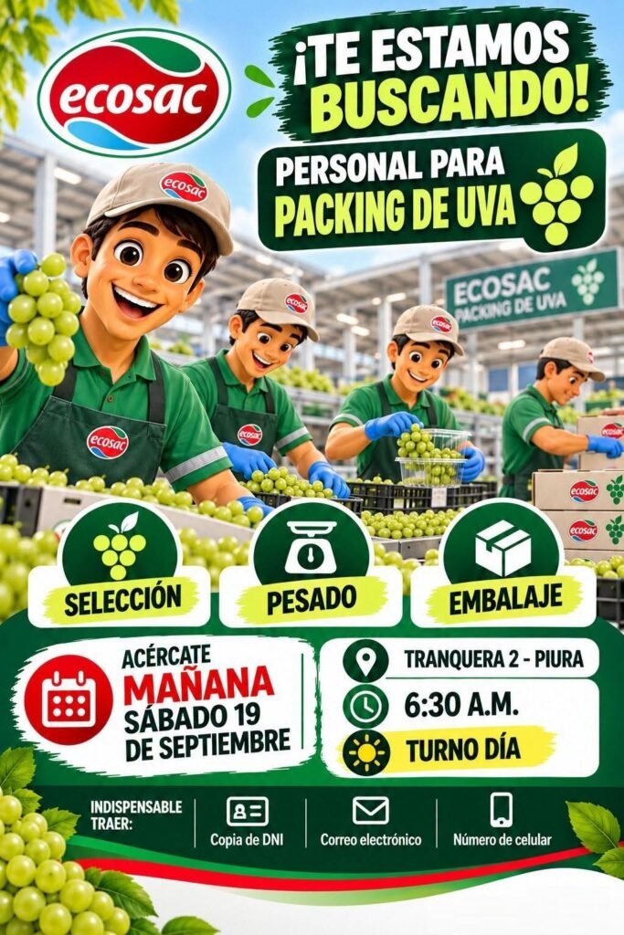 Packing de uva