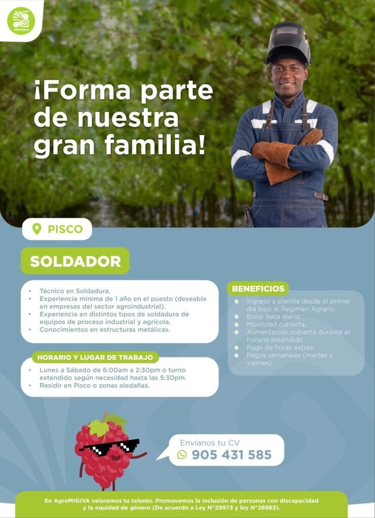 Nuevas oportunidades laborales - Imagen 4