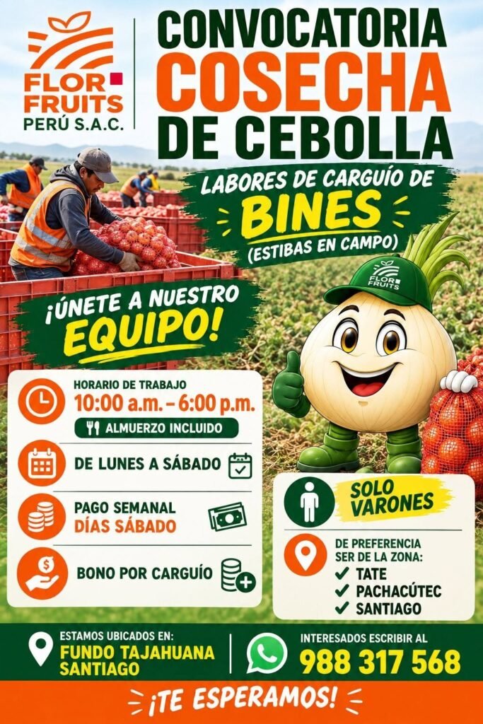 Cosechadores de cebolla