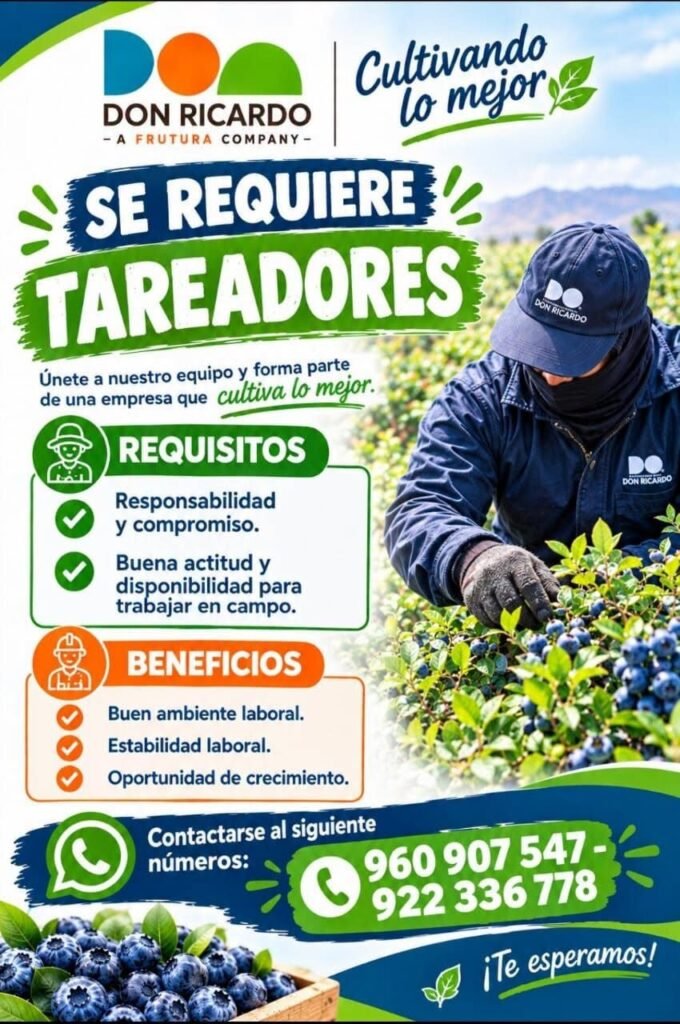 Tareadores en Agricola Don Ricardo