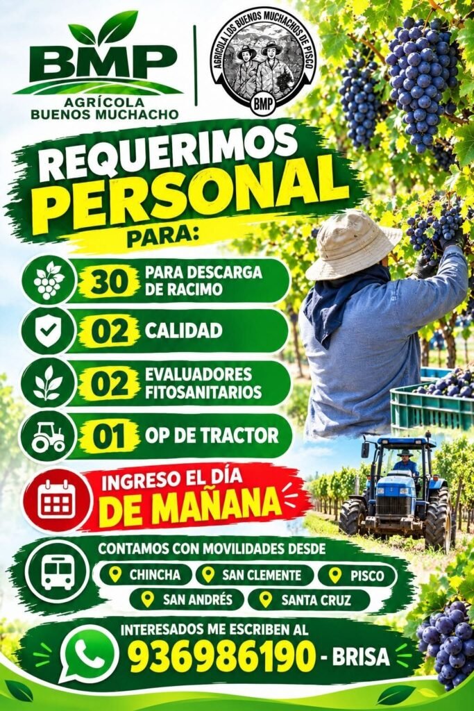50 personas para labores de uva - Imagen 2
