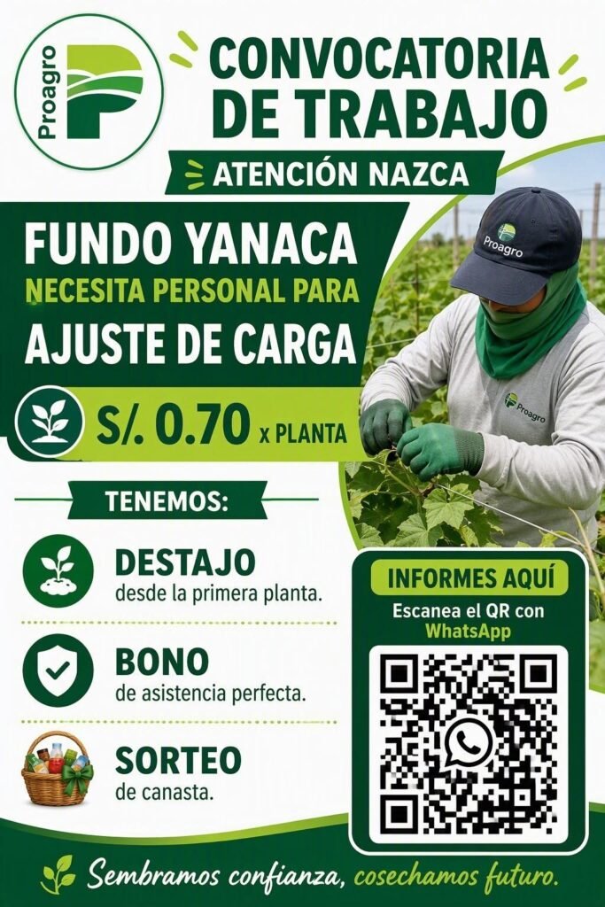 Ajuste de carga