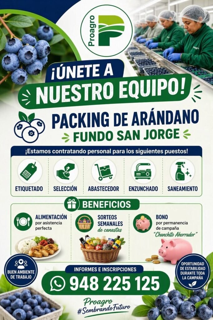Personal para packing