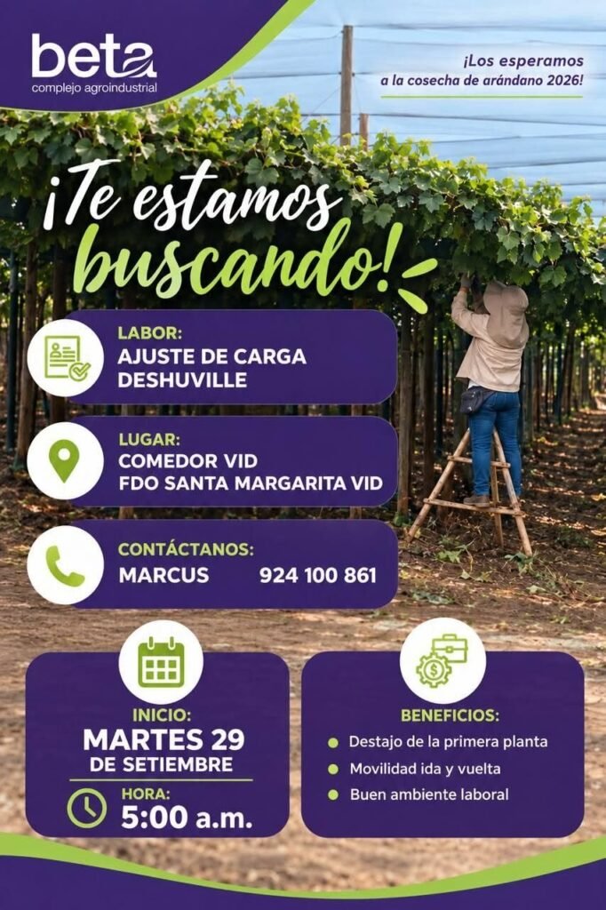 Personal para ahuste de carga