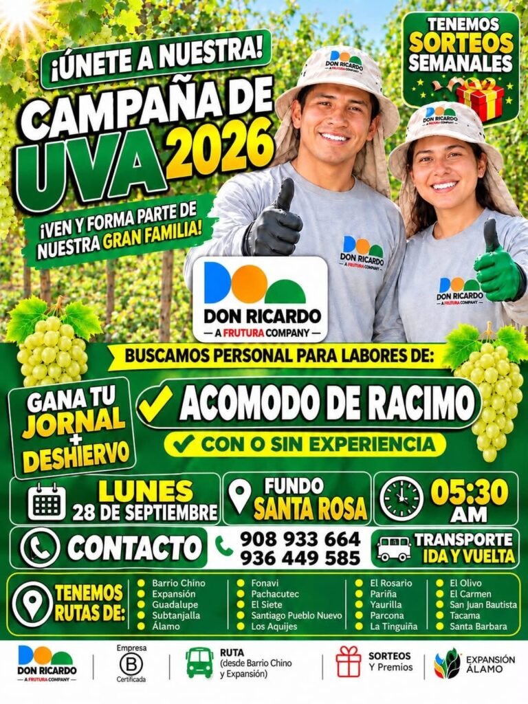 Se requiere personal para labores de uva - Imagen 2