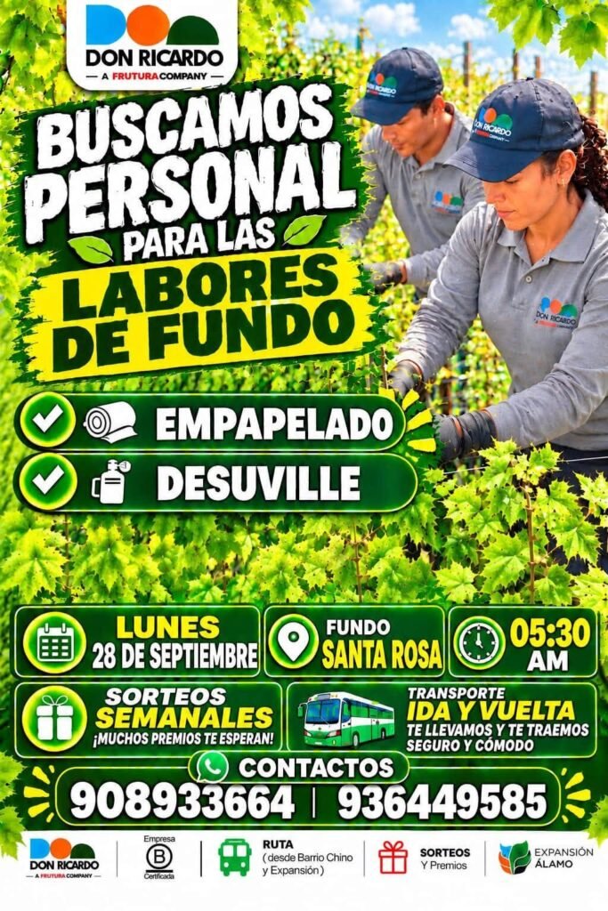 Se requiere personal para labores de uva