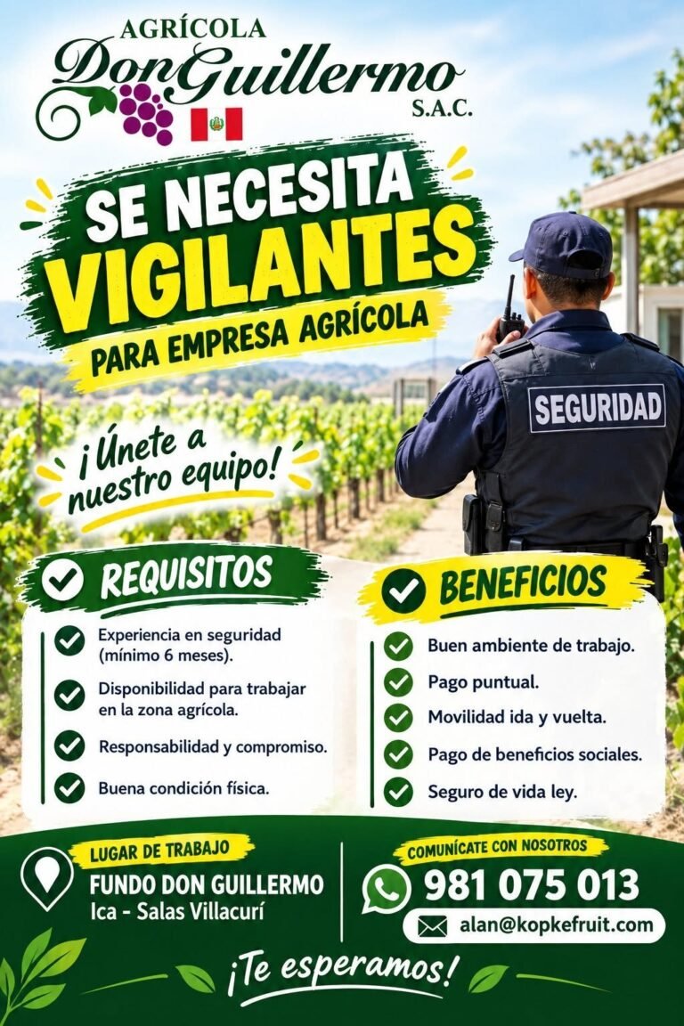 Personal de seguridad