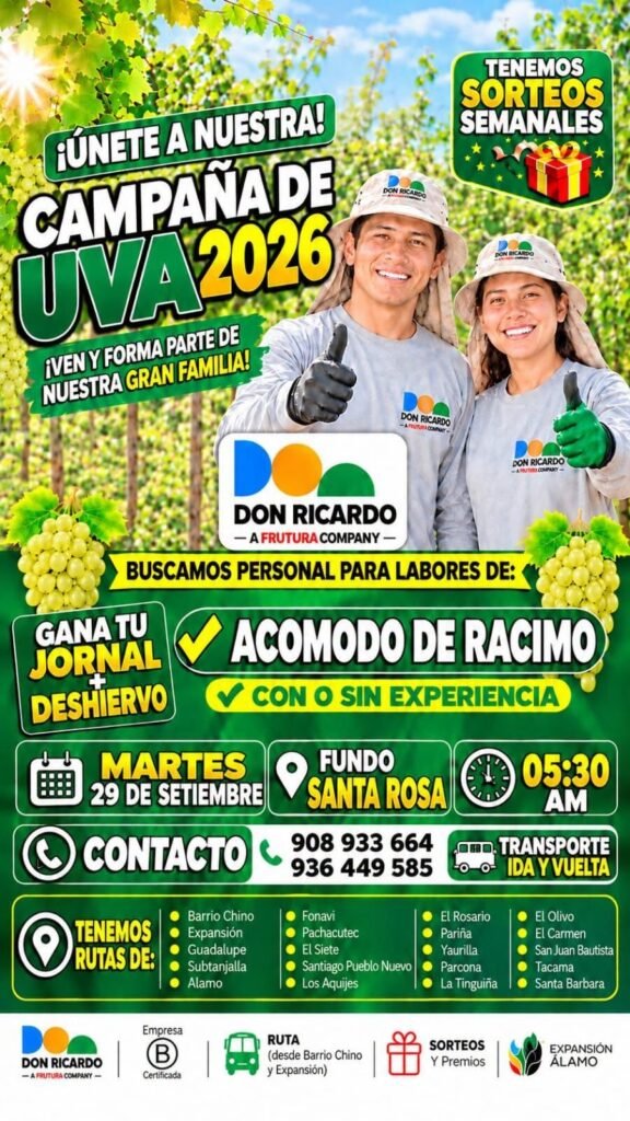 Acomodo de racimo