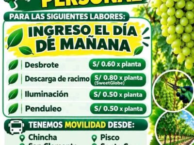 Iluminacion, deshoje y penduleo
