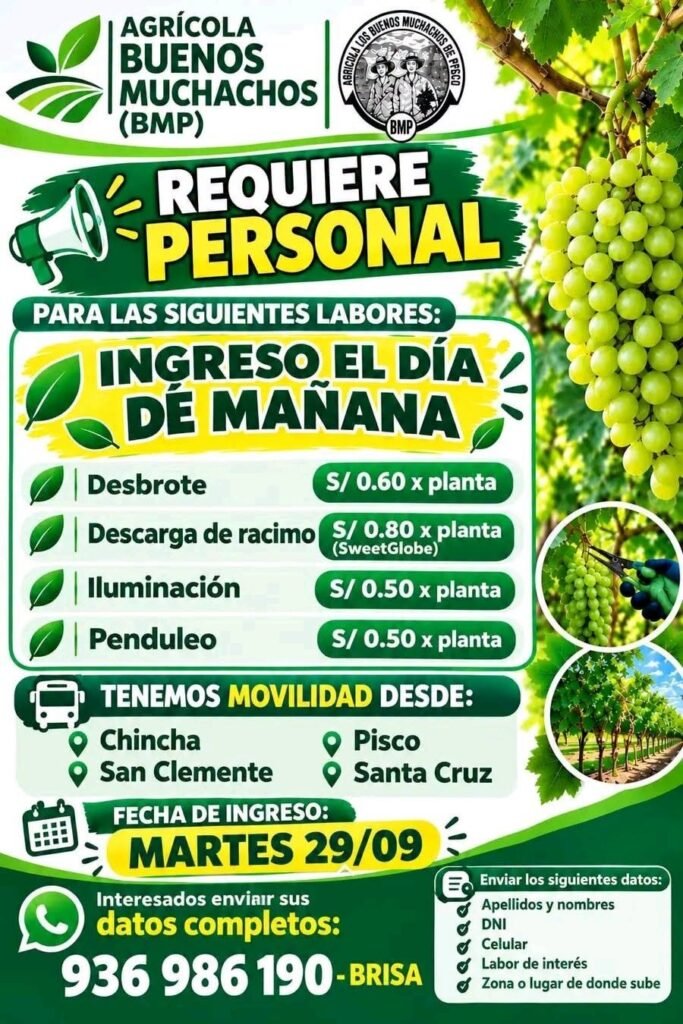 Iluminacion, deshoje y penduleo