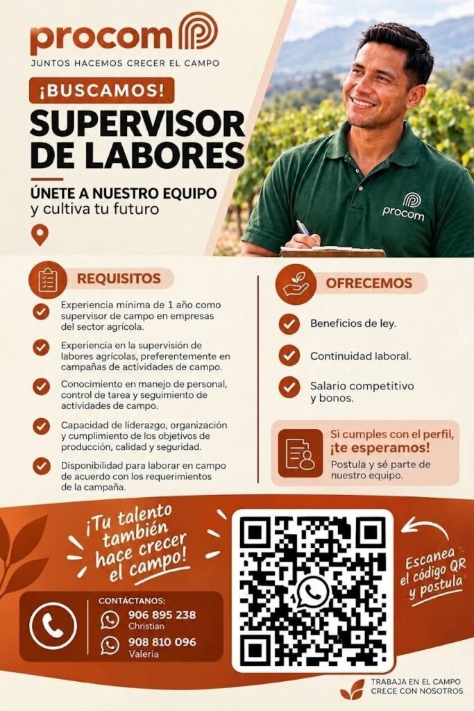 Nuevas talentos para Talsa