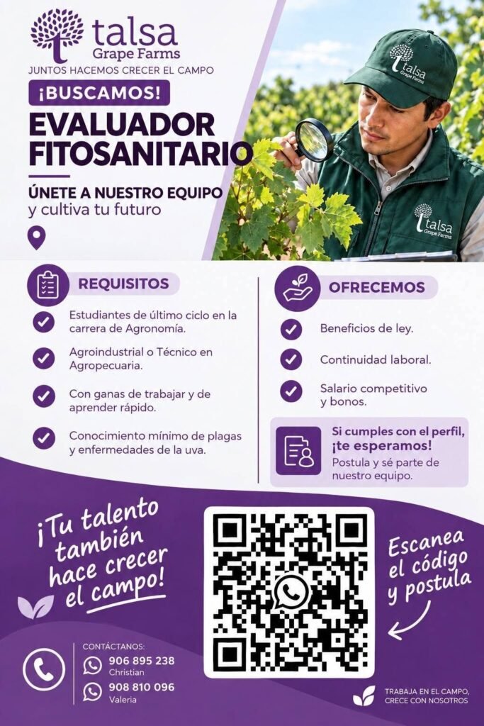 Nuevas talentos para Talsa - Imagen 3