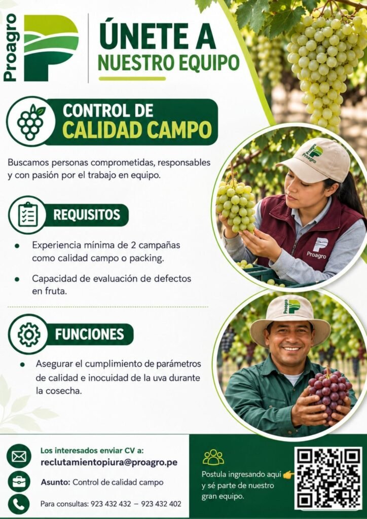 Oportunidades laborales en proagro - Imagen 2