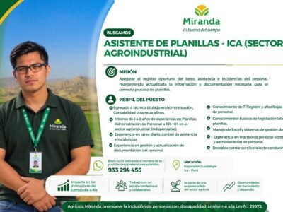 Asistente de Planillas