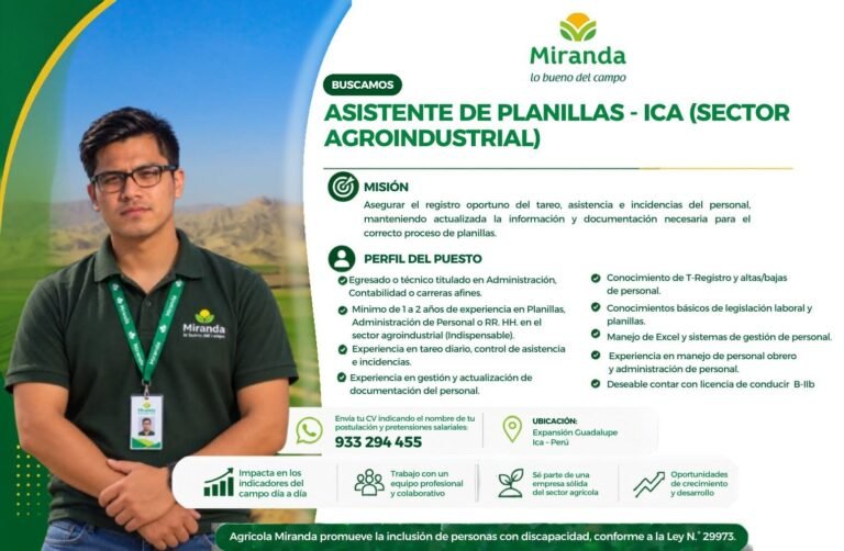Asistente de Planillas