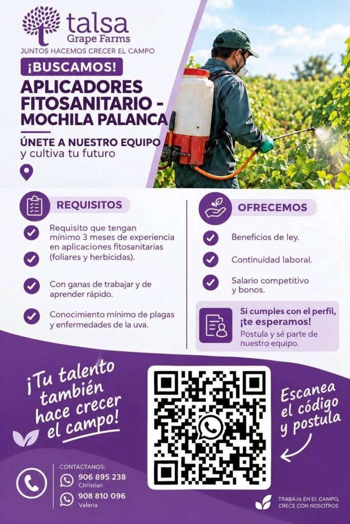 Nuevas talentos para Talsa - Imagen 2