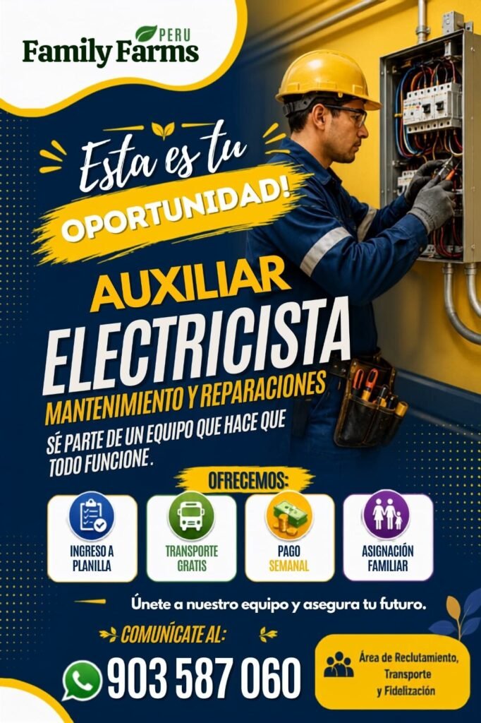 Auxiliar Electricista en Pisco - Imagen 1