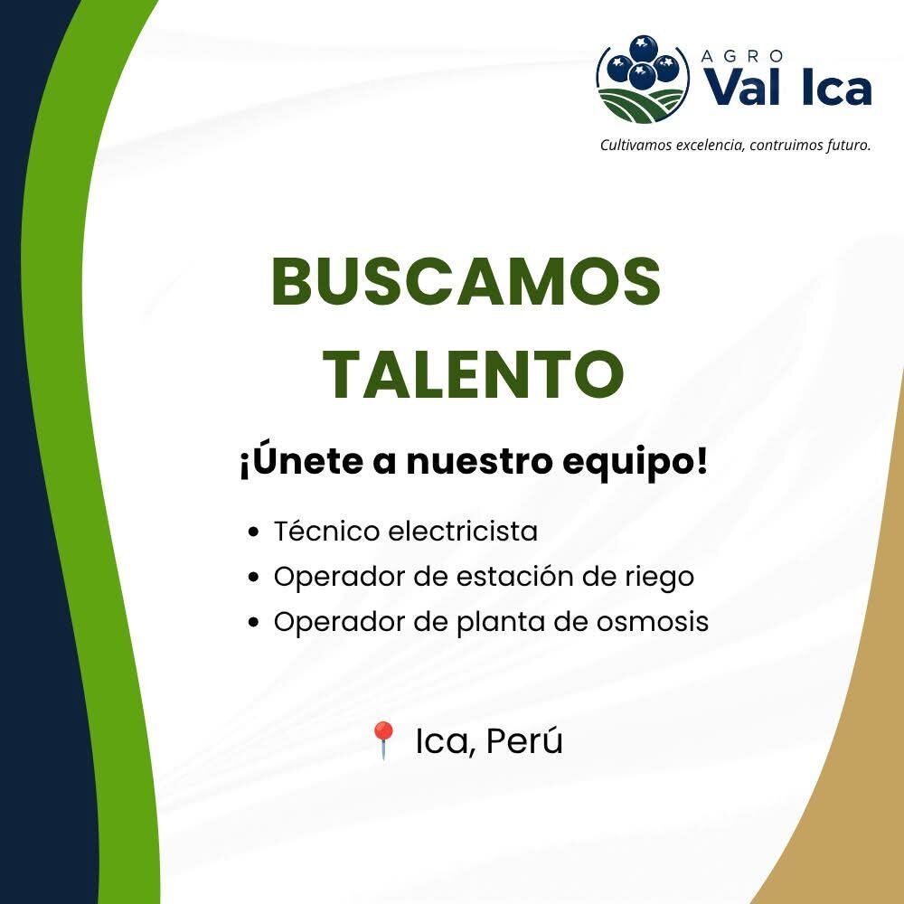 Tecnico electricista - Imagen 4